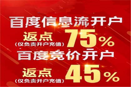 百度推广平台案例集锦：成功案例背后的故事